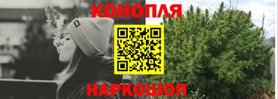 эйфоретик Камень-на-Оби