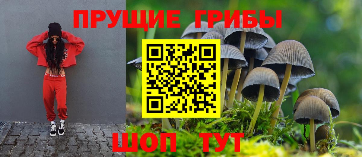 Галлюциногенные грибы Cubensis Выкса